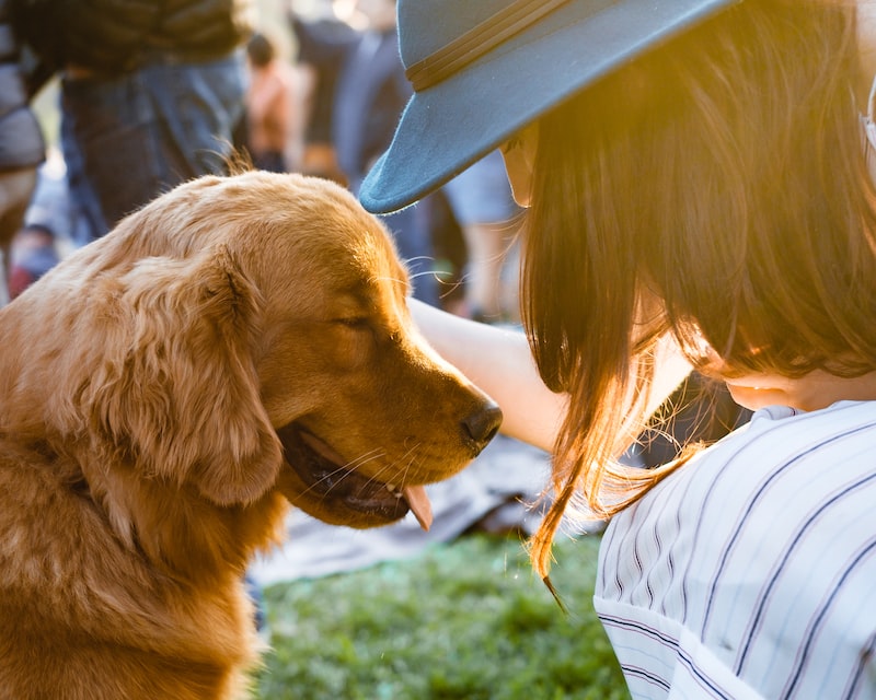 Exploring San Francisco: Dog-Friendly Activities and Spots Exploring San Francisco: Dog-Friendly Activities and Spots